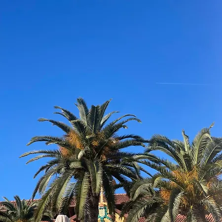 Appartamento Joli Nid *