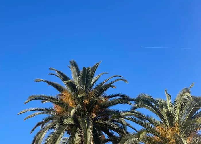 Appartamento Joli Nid *